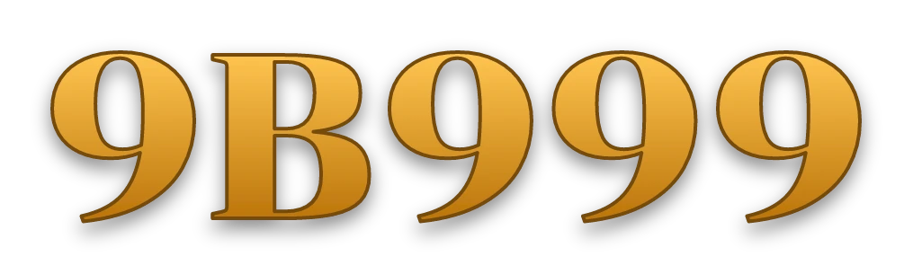 9B999 logo